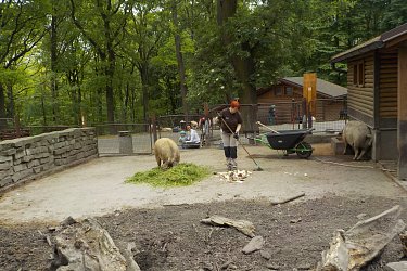 Obrázek č.21