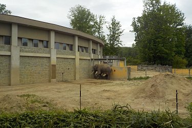 Obrázek č.66