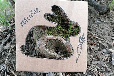 Obrázek č.24