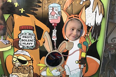 Obrázek č.15