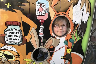 Obrázek č.16