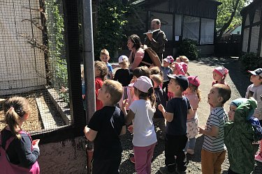Obrázek č.82