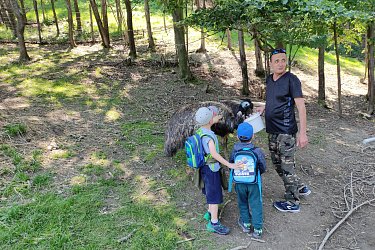 Obrázek č.126