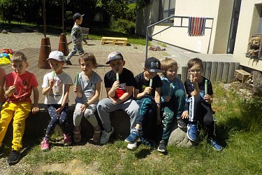 Obrázek č.37