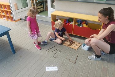 Obrázek č.55