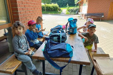 Obrázek č.15