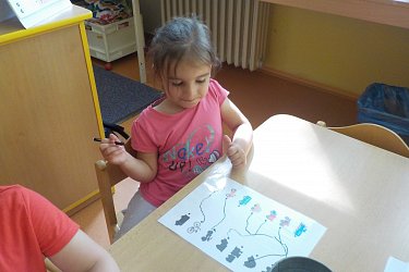 Obrázek č.44