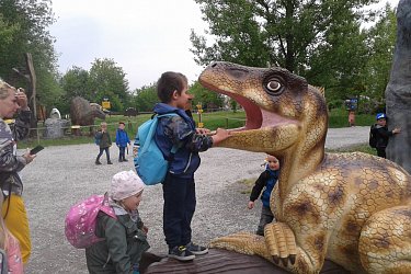 Obrázek č.60