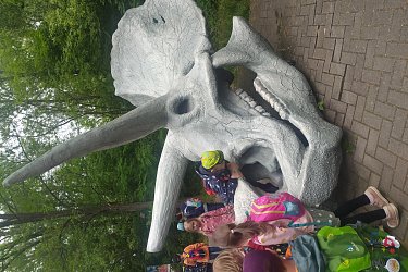 Obrázek č.5