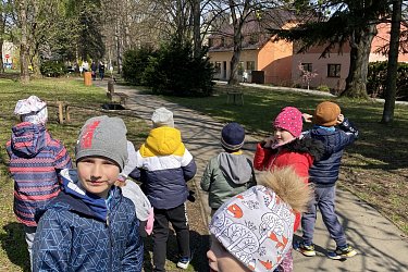Obrázek č.13