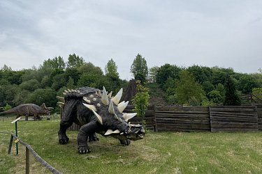 Obrázek č.48
