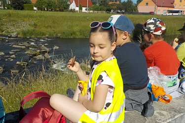 Obrázek č.17