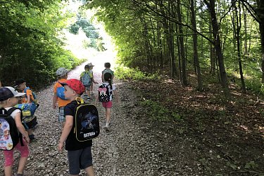 Obrázek č.140