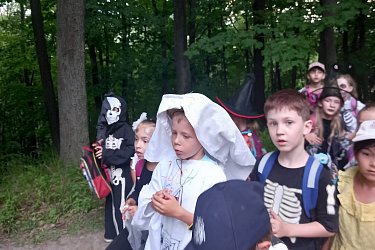 Obrázek č.29
