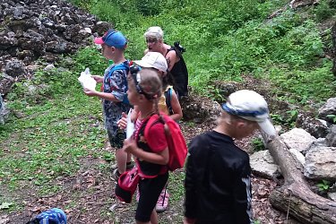 Obrázek č.55