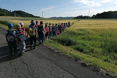 Obrázek č.25