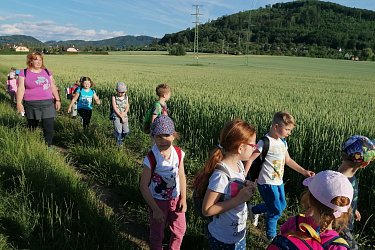 Obrázek č.16