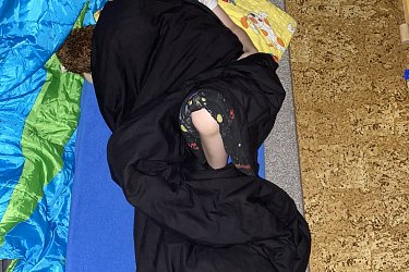 Obrázek č.62