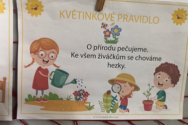Obrázek č.65
