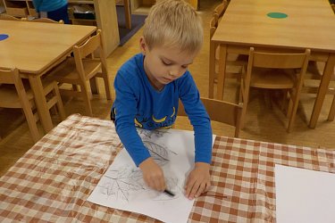 Obrázek č.113