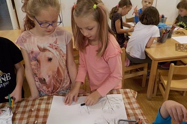 Obrázek č.129