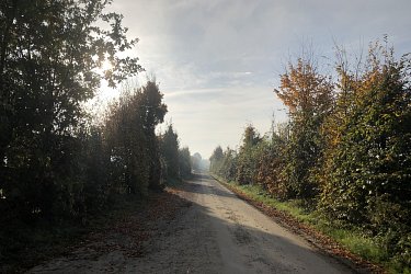Obrázek č.14