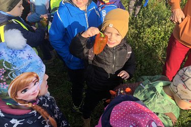 Obrázek č.20