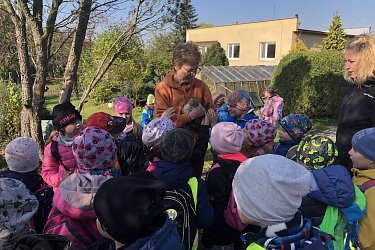 Obrázek č.79