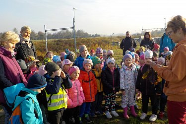 Obrázek č.17