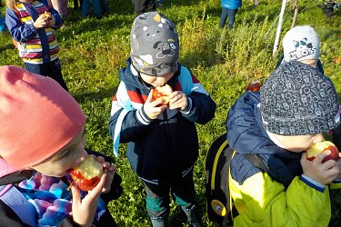 Obrázek č.50