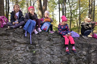 Obrázek č.15