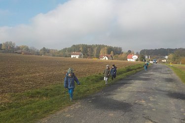 Obrázek č.61