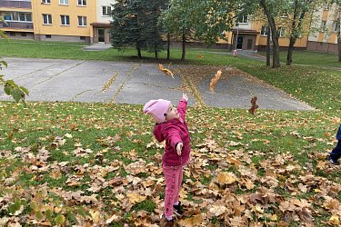 Obrázek č.101