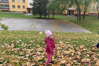 Obrázek č.102