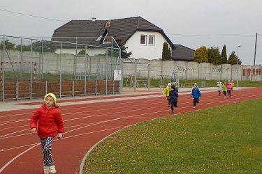 Obrázek č.95