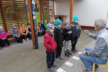 Obrázek č.37
