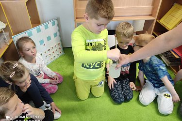 Obrázek č.8