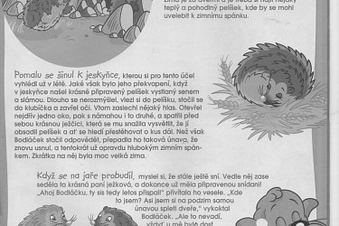 Obrázek č.15
