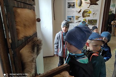 Obrázek č.13