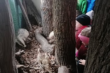 Obrázek č.16