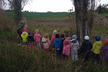 Obrázek č.73