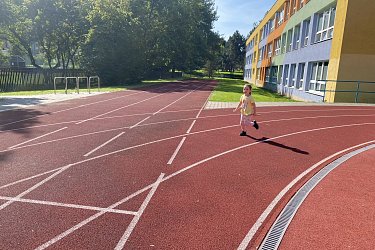 Obrázek č.15