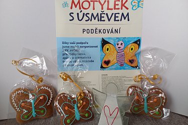 Obrázek č.15