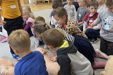 Obrázek č.24