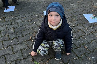 Obrázek č.52