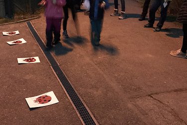 Obrázek č.12