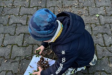 Obrázek č.68