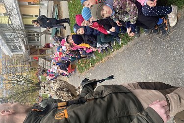 Obrázek č.48
