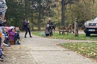 Obrázek č.12