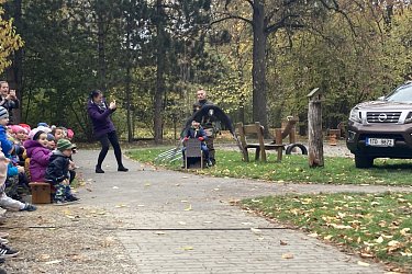 Obrázek č.13